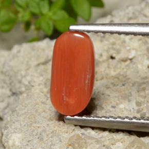 Corail orange naturelle coupe ovale, 1,40 ct, opaque