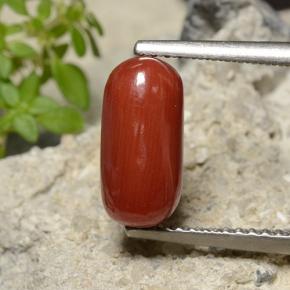 Corail rouge naturelle coupe ovale, 2,51 ct, opaque