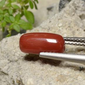 Corail rouge naturelle coupe ovale, 2,51 ct, opaque