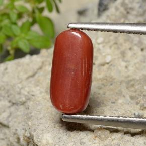 Corail rouge naturelle coupe ovale, 2,51 ct, opaque