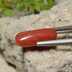 Corail Rouge-orange naturelle ovale, 2.06 ct, Opaque