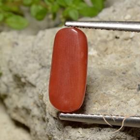 Corail Rouge-orange naturelle ovale, 2.06 ct, Opaque