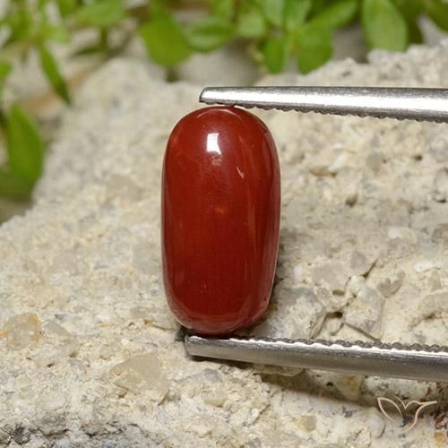 2.06ct Naturel Rouge feu corail, ovale, Opaque