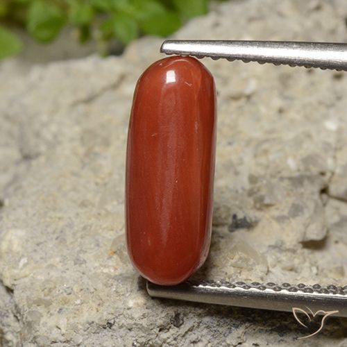2.26ct Naturel Rouge moyen corail, ovale, Opaque