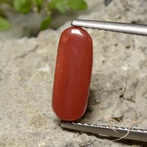 Corail Rouge moyen naturelle ovale, 2.26 ct, Opaque