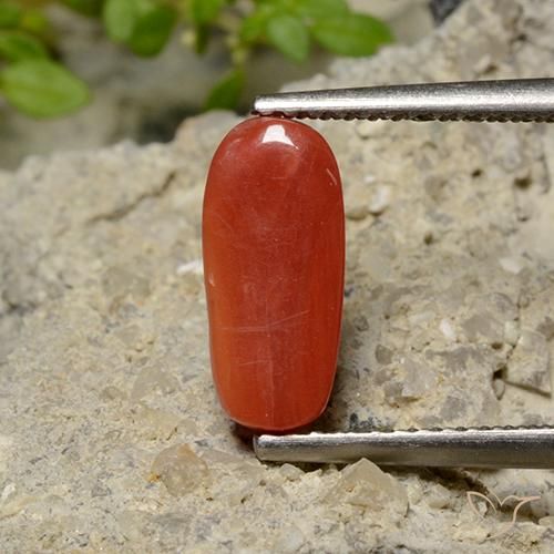 Corail Rouge-orange naturelle ovale, 1.79 ct, Opaque