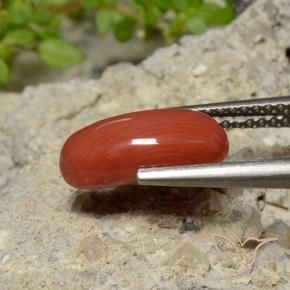 Corail Rouge moyen naturelle ovale, 2.04 ct, Opaque