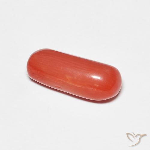 Corail Rouge-orange naturelle ovale, 2.25 ct, Opaque
