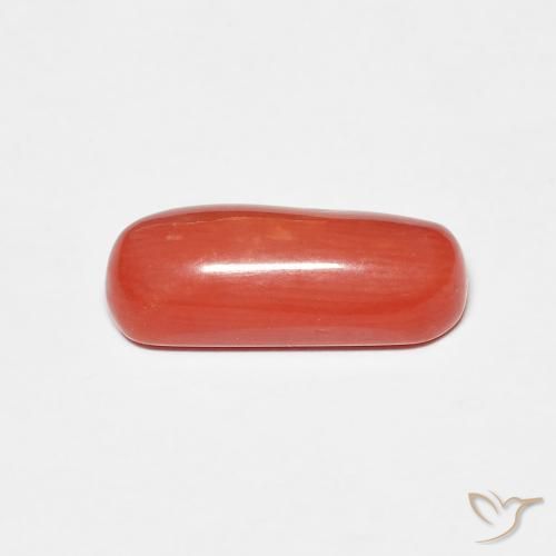 Corail Rouge-orange naturelle ovale, 2.25 ct, Opaque