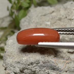 Corail Rouge léger naturelle ovale, 2.11 ct, Opaque