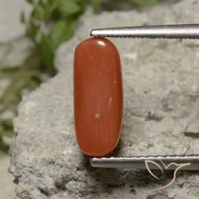 Corail Rouge léger naturelle ovale, 2.11 ct, Opaque