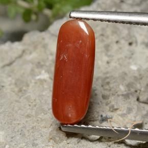 Corail Rouge moyen naturelle ovale, 2.13 ct, Opaque