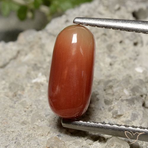 1.69ct Naturel Rouge moyen Corail, ovale, Opaque