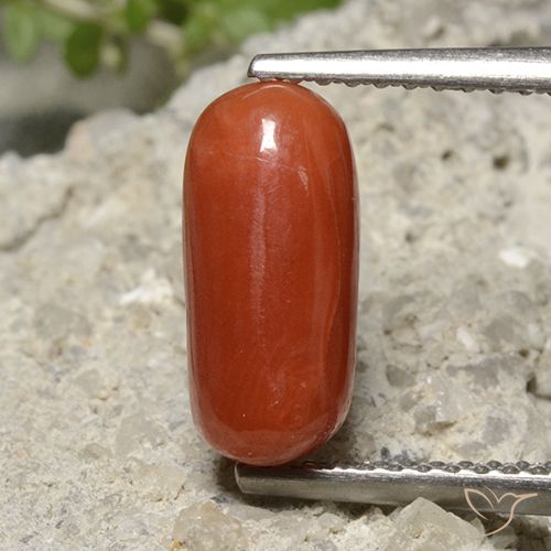 2.26ct Naturel Rouge moyen corail, ovale, Opaque