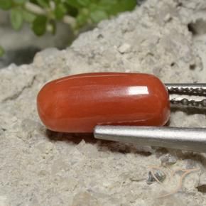 Corail Rouge moyen naturelle ovale, 2.26 ct, Opaque