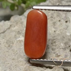 Corail Rouge moyen naturelle ovale, 2.26 ct, Opaque