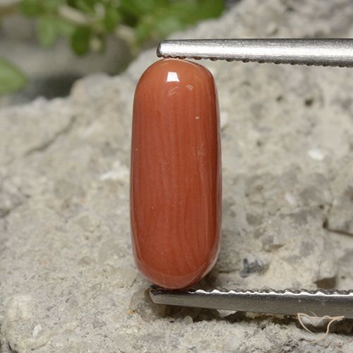 2.25ct Naturel Orange feu corail, ovale, Opaque