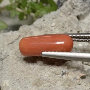 Corail Orange feu naturelle ovale, 2.25 ct, Opaque
