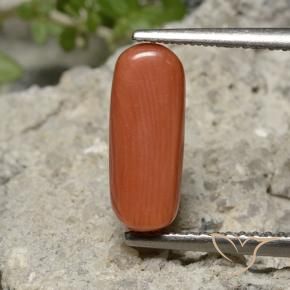 Corail Orange feu naturelle ovale, 2.25 ct, Opaque