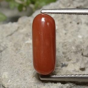 Corail Rouge-orange naturelle Coupe ovale, 2.68 ct, Opaque