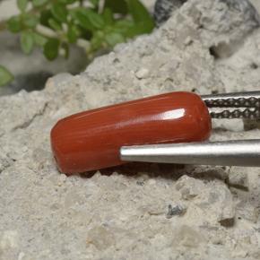 Corail Rouge-orange naturelle Coupe ovale, 2.68 ct, Opaque