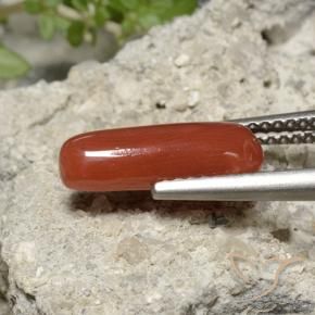Corail Rouge-orange naturelle ovale, 2.22 ct, Opaque