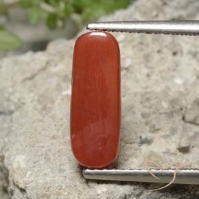 Corail Rouge-orange naturelle ovale, 2.22 ct, Opaque