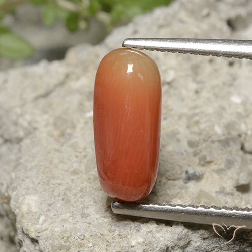 2.36ct Naturel Orange feu corail, ovale, Opaque