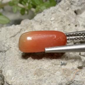Corail Orange feu naturelle ovale, 2.36 ct, Opaque