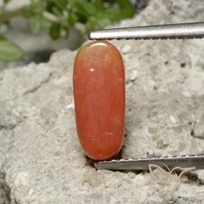 Corail Orange feu naturelle ovale, 2.36 ct, Opaque