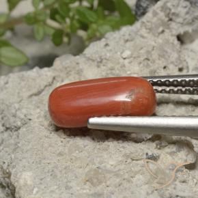 Corail Orange moyen naturelle ovale, 2.05 ct, Opaque