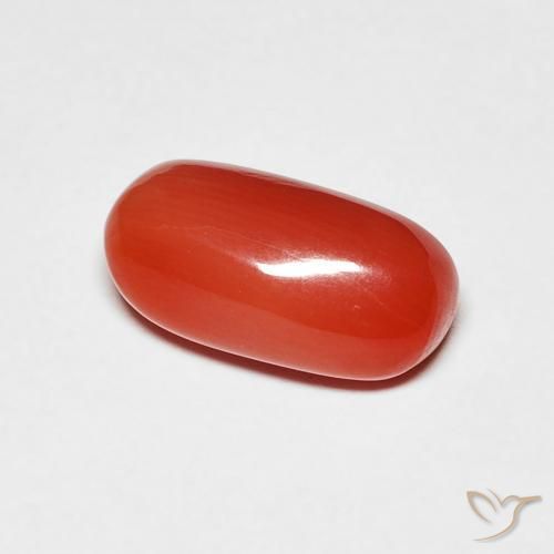 Corail Rouge moyen naturelle ovale, 2.11 ct, Opaque