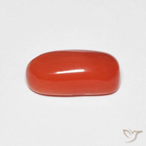Corail Rouge moyen naturelle ovale, 2.11 ct, Opaque