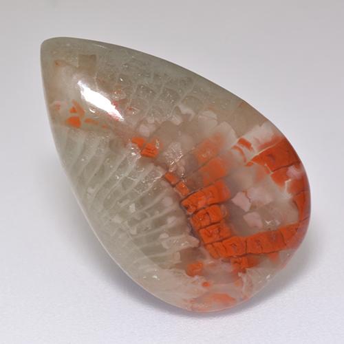 Corail multicolore naturelle en forme de poire, 8,29 ct, translucide