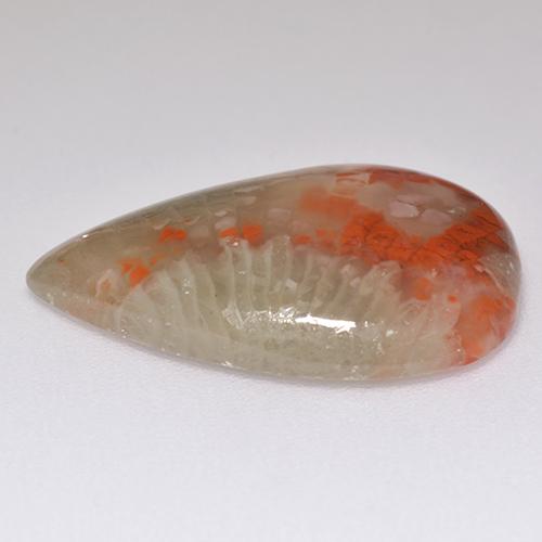 Corail multicolore naturelle en forme de poire, 8,29 ct, translucide