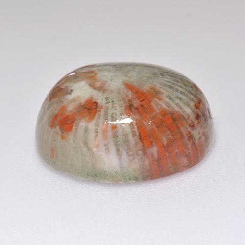 Corail multicolore naturelle coupe ovale, 13,38 ct, translucide