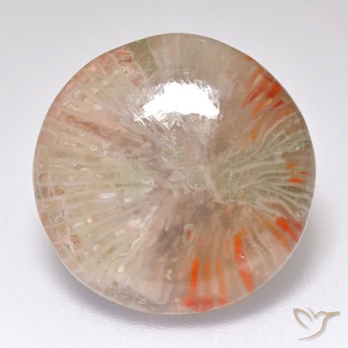 8.32ct Naturel Multicolore Corail, Tour, Translucide