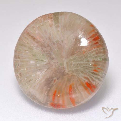 Corail Multicolore naturelle Tour, 8.32 ct, Translucide
