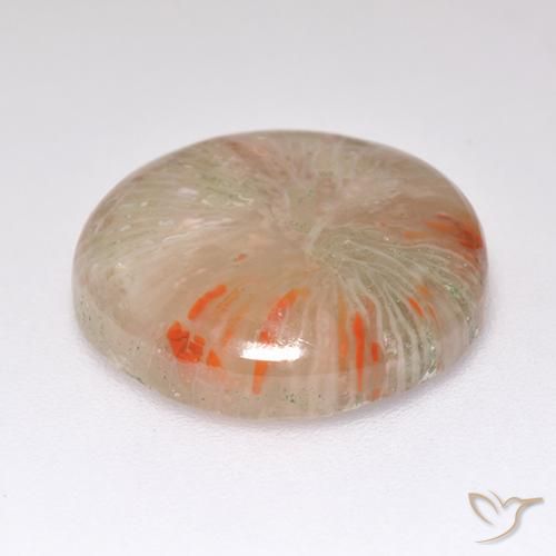 Corail Multicolore naturelle Tour, 8.32 ct, Translucide