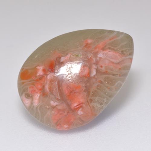 Corail multicolore naturelle en forme de poire, 5,97 ct, translucide