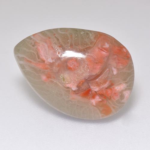Corail multicolore naturelle en forme de poire, 5,97 ct, translucide