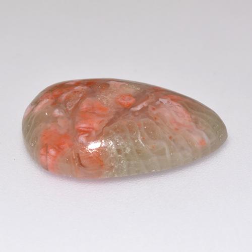 Corail multicolore naturelle en forme de poire, 5,97 ct, translucide