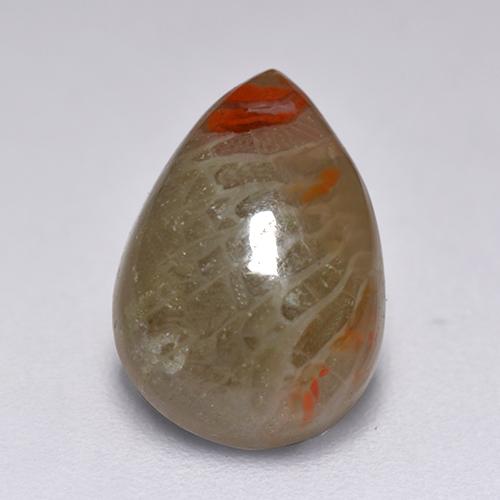 Corail multicolore naturelle en forme de poire, 2,23 ct, translucide
