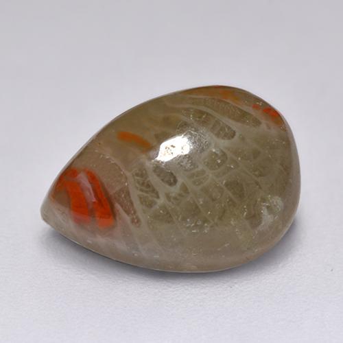 Corail multicolore naturelle en forme de poire, 2,23 ct, translucide