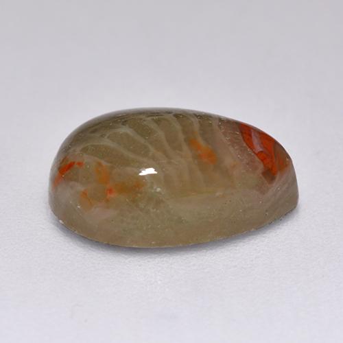 Corail multicolore naturelle en forme de poire, 2,23 ct, translucide