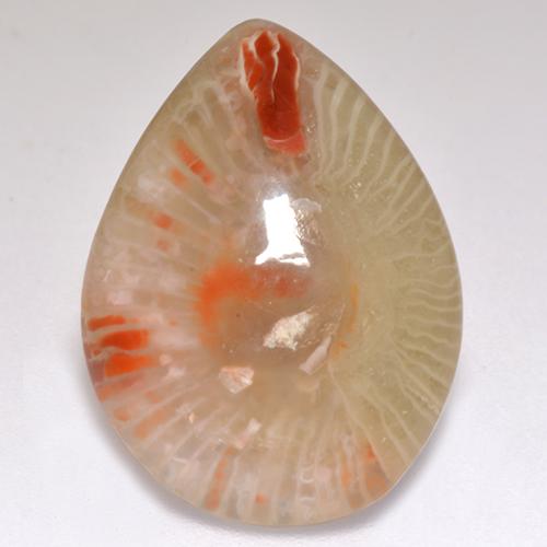 Corail multicolore naturelle en forme de poire, 9,83 ct, translucide