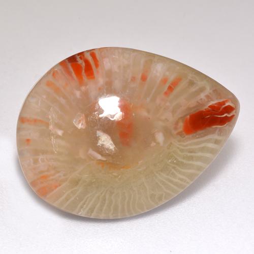 Corail multicolore naturelle en forme de poire, 9,83 ct, translucide