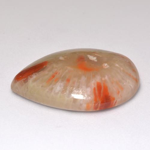 Corail multicolore naturelle en forme de poire, 9,83 ct, translucide