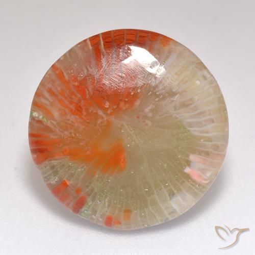 9.29ct Naturel Multicolore Corail, Tour, Translucide