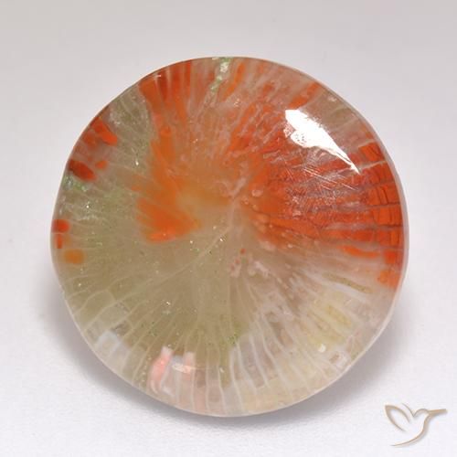 Corail Multicolore naturelle Tour, 9.29 ct, Translucide